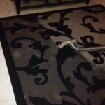 Flooding Emergency - Steam Canada