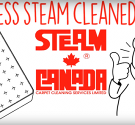 Steam Canada - Bed bugs - Clean mattress